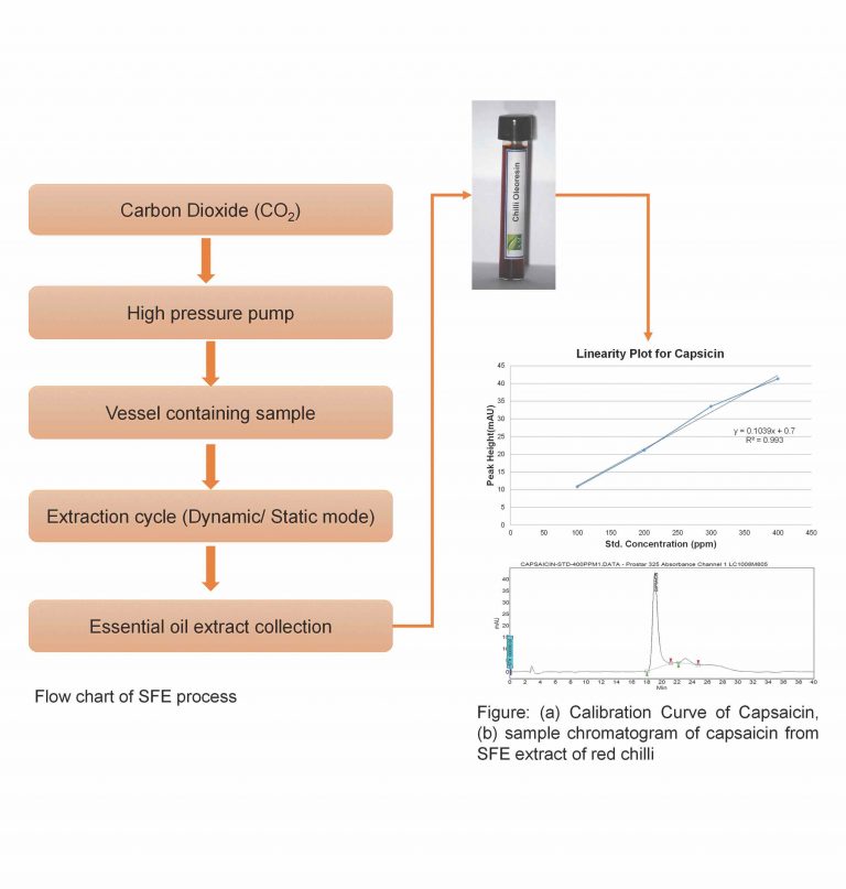 SFE - Supercritical Fluid Extraction And Application Of Bioactive ...