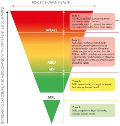 Pesticides: why, how and what? - New Food Magazine