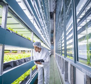 Unlocking the future of smart vertical farming with automation