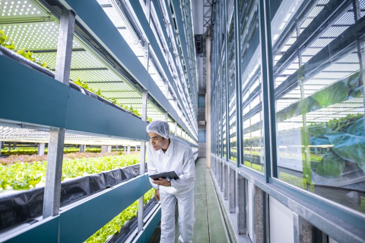 Unlocking the future of smart vertical farming with automation