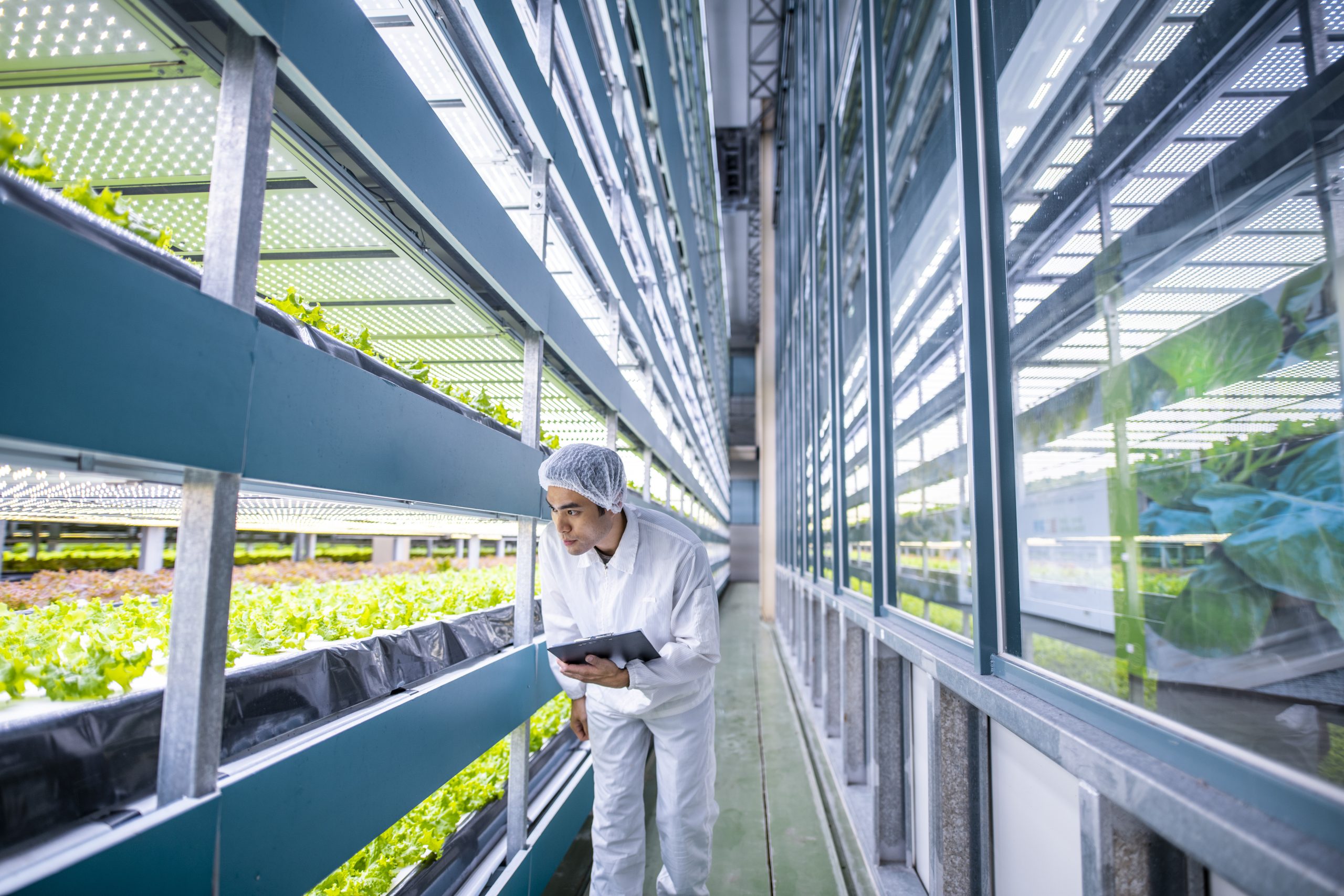 Unlocking the future of smart vertical farming with automation