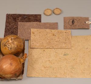 Could onion skins be the future of sustainable packaging?