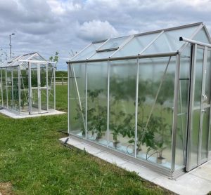 UK scientists unveil light-optimising greenhouse coating to extend growing seasons