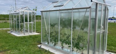 UK scientists unveil light-optimising greenhouse coating to extend growing seasons