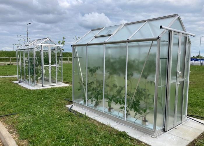 UK scientists unveil light-optimising greenhouse coating to extend growing seasons