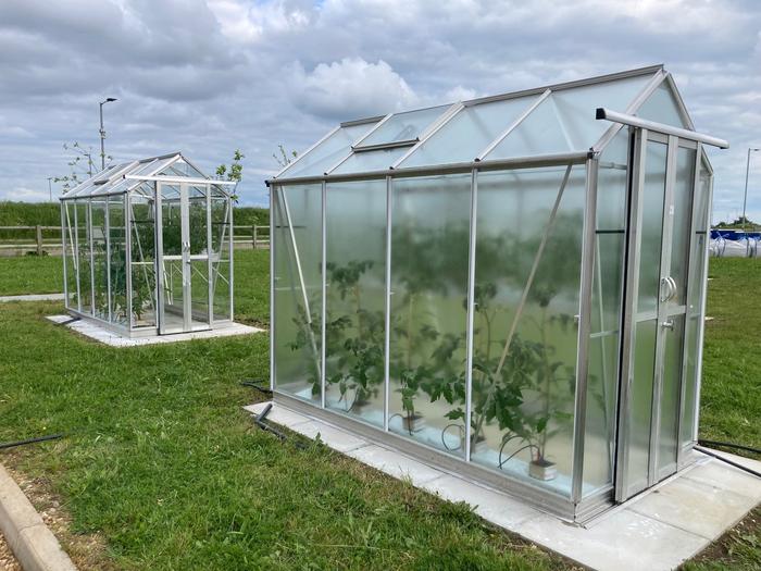 UK scientists unveil light-optimising greenhouse coating to extend growing seasons