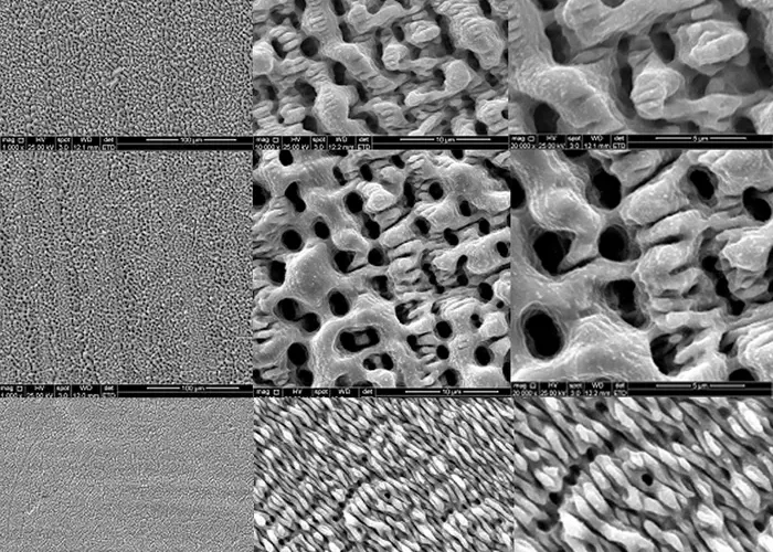 New laser technology mimics shark skin to create antibacterial surfaces, offering a chemical-free solution for meat processing hygiene.