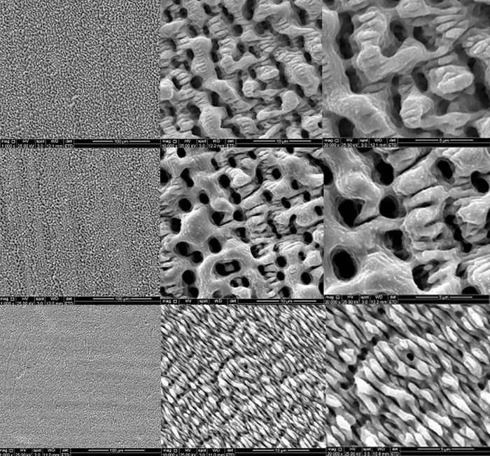 New laser technology mimics shark skin to create antibacterial surfaces, offering a chemical-free solution for meat processing hygiene.