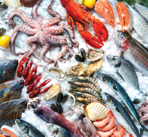 Seafood processing generates large quantities of by-products