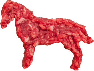 Horsemeat scandal