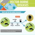 Infographic: Vector-borne diseases - New Food Magazine