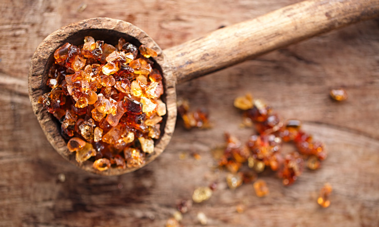 Gum arabic, what is it used for? Discover how this gum helps sugarcrafters