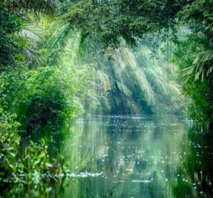 biodiversity-lund-smallscale-agriculture