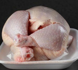 campylobacter-chicken