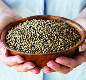 hemp-seeds