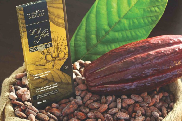 Cocoa cultivation and manufacture of chocolates – a long tradition in ...