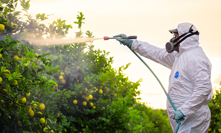 Insecticide researchers call for industry review - New Food Magazine