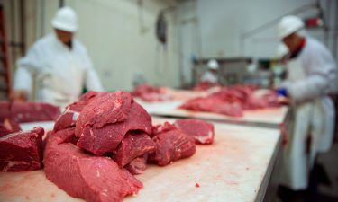 Hazardous Meat And Poultry Recalls In The US Nearly Double - New Food ...