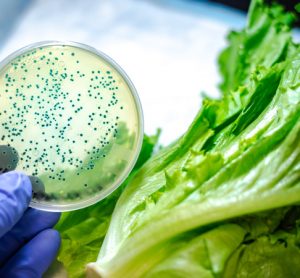 FDA provides update to romaine lettuce E. coli O157:H7 outbreak