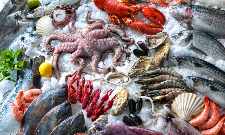 Seafood could account for 25 percent of animal protein needed to meet ...
