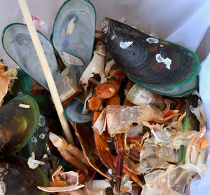 seafood waste is a big problem