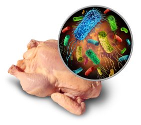 The USDA’s Path To Success With Salmonella