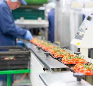 ministers are urged to develop a national food security strategy that encompasses the entire food system, extending beyond farming to include manufacturing, logistics, and retail.