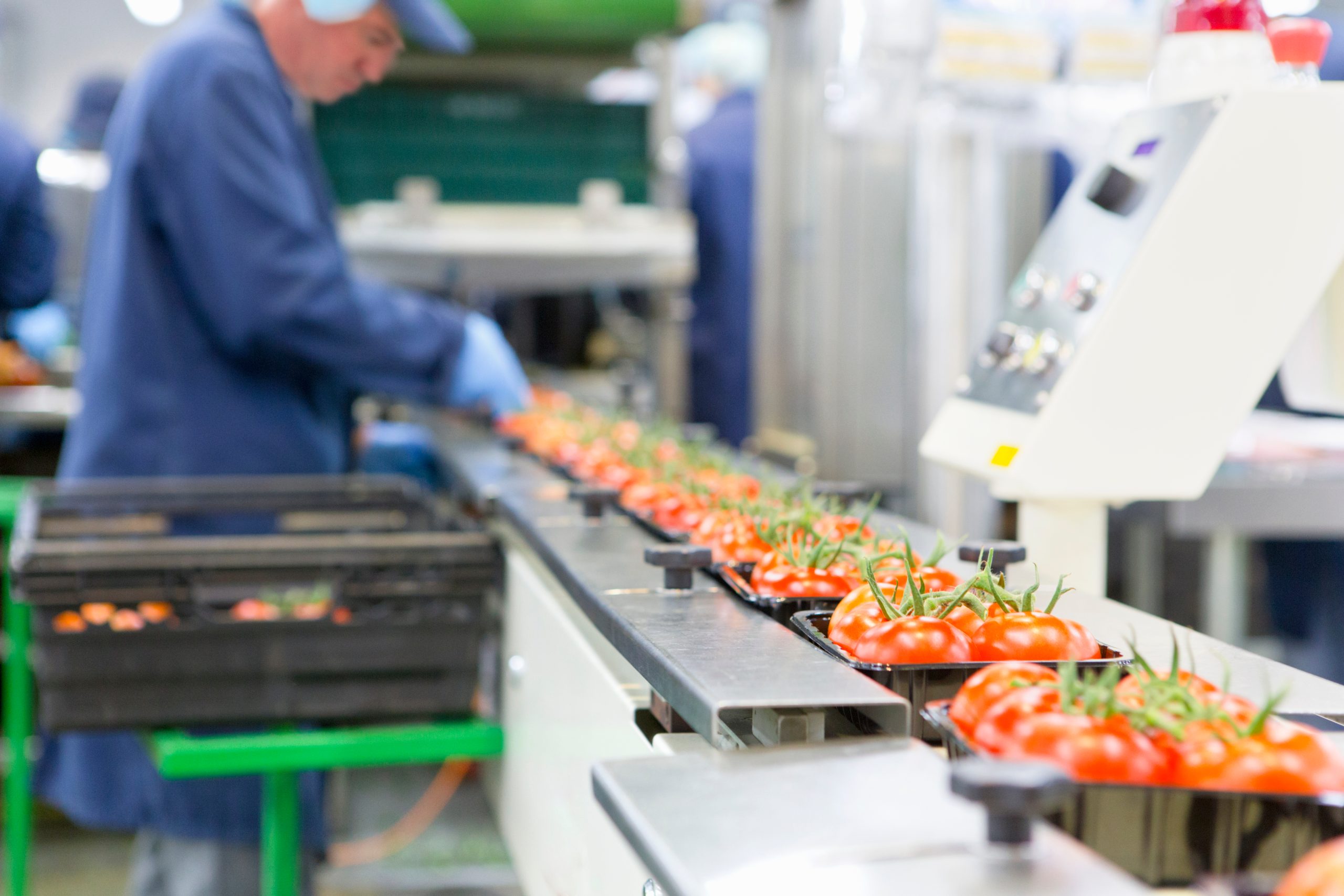 ministers are urged to develop a national food security strategy that encompasses the entire food system, extending beyond farming to include manufacturing, logistics, and retail.