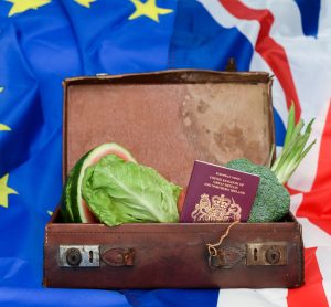 The Food and Drink Federation urges urgent government action to address post-Brexit complexity and bureaucracy, as new trade barriers cause a 34 percent decline in UK food exports to the EU since 2019.