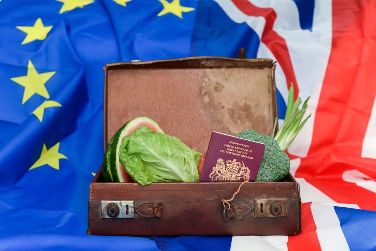 The Food and Drink Federation urges urgent government action to address post-Brexit complexity and bureaucracy, as new trade barriers cause a 34 percent decline in UK food exports to the EU since 2019.