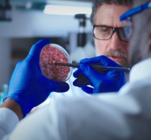 Lab-grown food could hit UK supermarket shelves by 2027