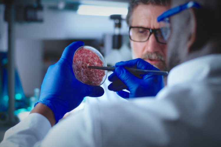 Lab-grown food could hit UK supermarket shelves by 2027