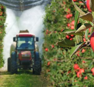 Current food safety practices may be insufficient to protect consumers from pesticide ingestion