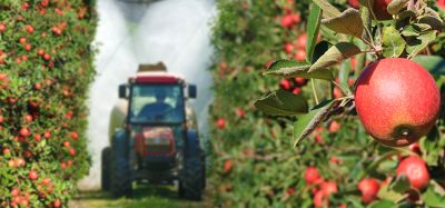 Current food safety practices may be insufficient to protect consumers from pesticide ingestion