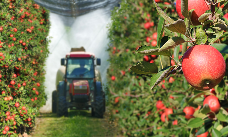 Current food safety practices may be insufficient to protect consumers from pesticide ingestion