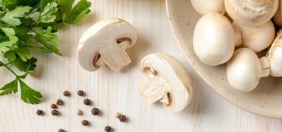 Mushrooms emerge as a natural weapon against insulin resistance