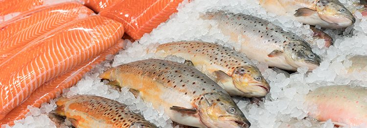 Eating more fish could be the key to preventing cancer and diabetes, says new study