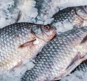 US has potential to achieve seafood independence