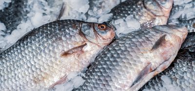 US has potential to achieve seafood independence