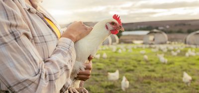 Aldi succeeds in cage-free mission