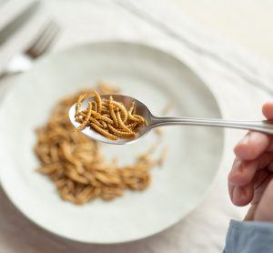 Mealworm protein extraction shows anti-diabetic benefits