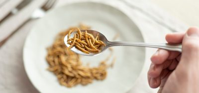 Mealworm protein extraction shows anti-diabetic benefits