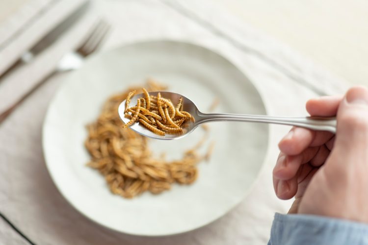 Mealworm protein extraction shows anti-diabetic benefits