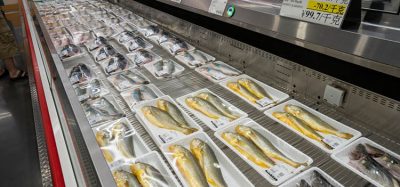 Temperature fluctuations found to harm fish quality in cold chain logistics