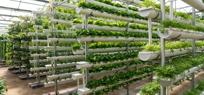 New grant awarded to support the progression of hydroponic food production