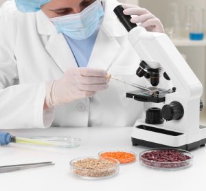 Mérieux NutriSciences to acquire Bureau Veritas' global food testing division