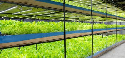 Smart lighting could be key to making vertical farming more cost-effective