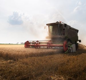 Von der Leyen receives recommendations for the future of EU agriculture