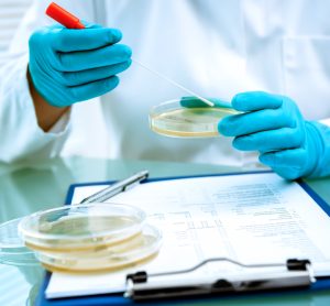 Streamlined Listeria monocytogenes test slashes detection time for food samples