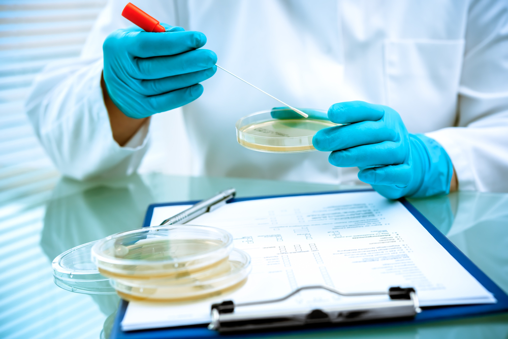 Streamlined Listeria monocytogenes test slashes detection time for food samples